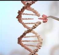 低級(jí)別膠質(zhì)瘤能治好嗎？生存期多久？